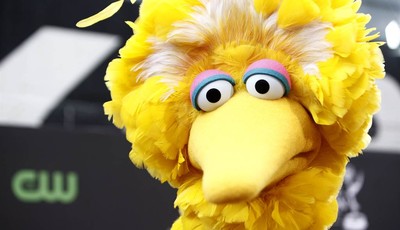 
              FILE - This Aug. 30, 2009 file photo shows Big Bird, of the children
